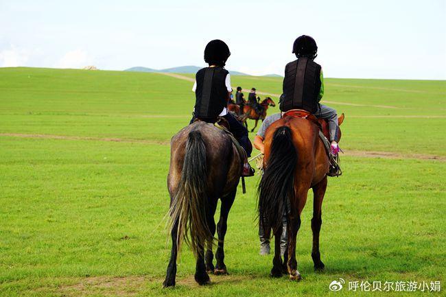关于草原特色骑马体验赛，感受大自然的奔跑自由的信息