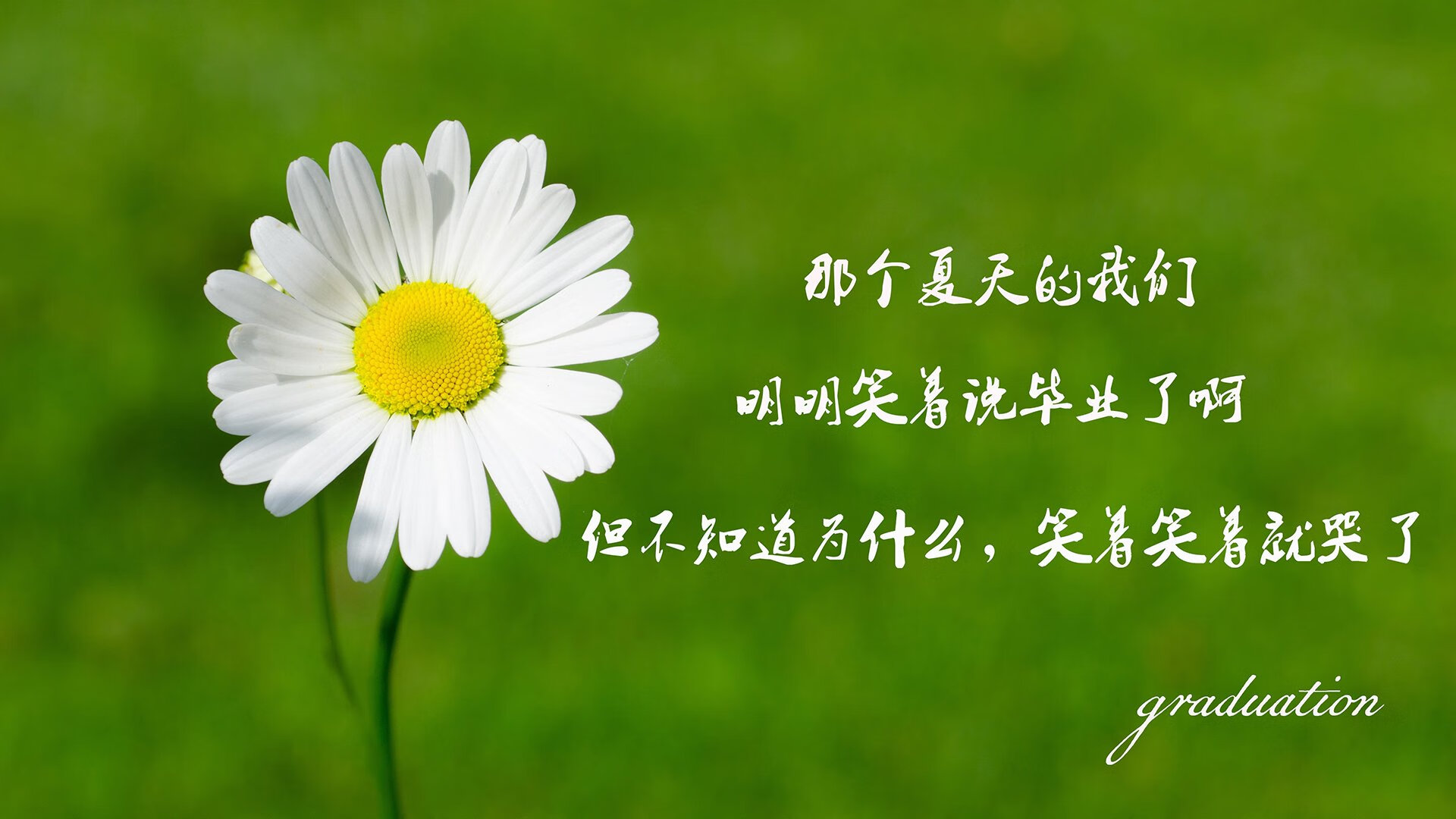 乐鱼体育平台app下载-德甲赛季战术多元化，球队表现丰富多彩，2021赛季德甲球队分析介绍