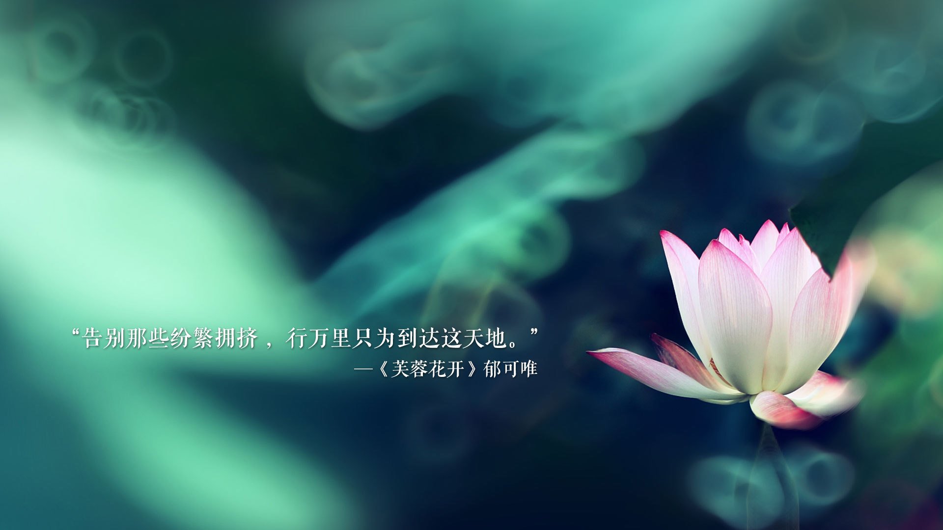 哲莱助球队进攻第一，亚特兰大前锋密布高潮，亚特兰大足球队主力