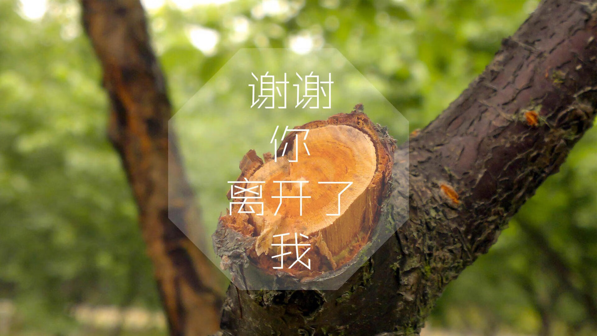 乐鱼电竞在线平台-森林狼力克热火，常规赛巅峰对决中爱德华兹带伤作战，森林狼 爱德华