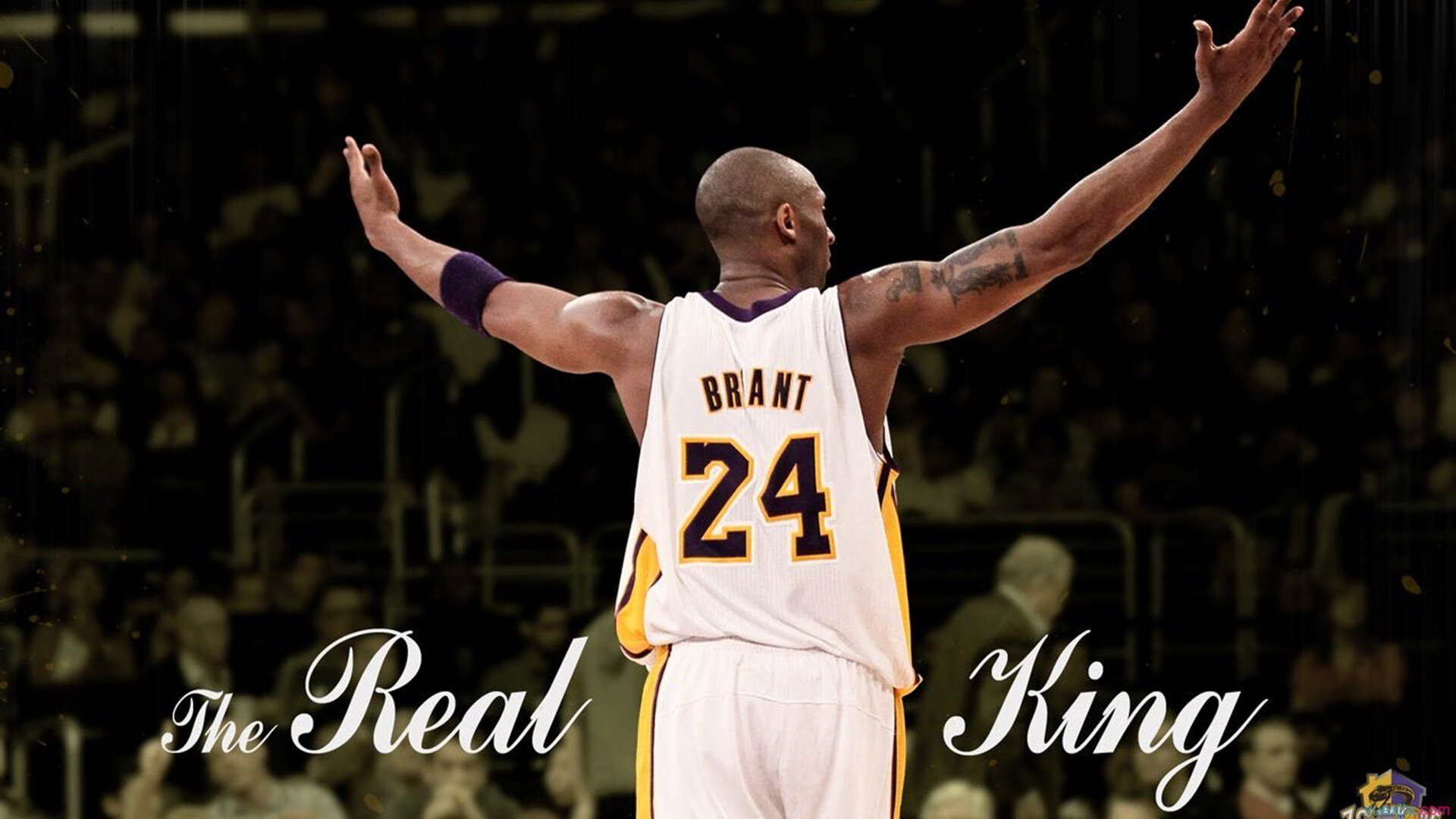 leyu sports-王者荣耀 赛事观众人数持续增长，王者荣耀比赛现场观众